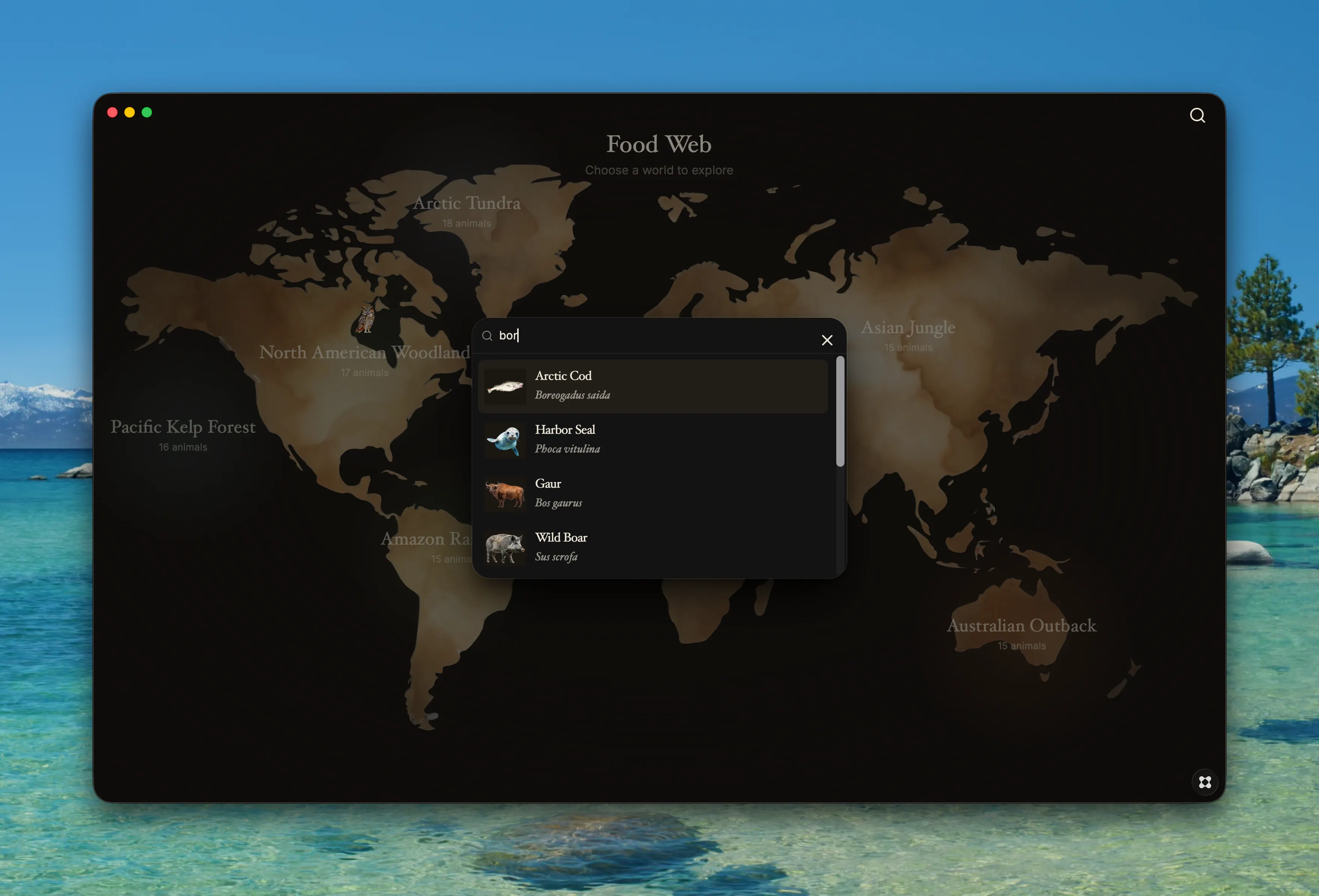 Screenshot 5