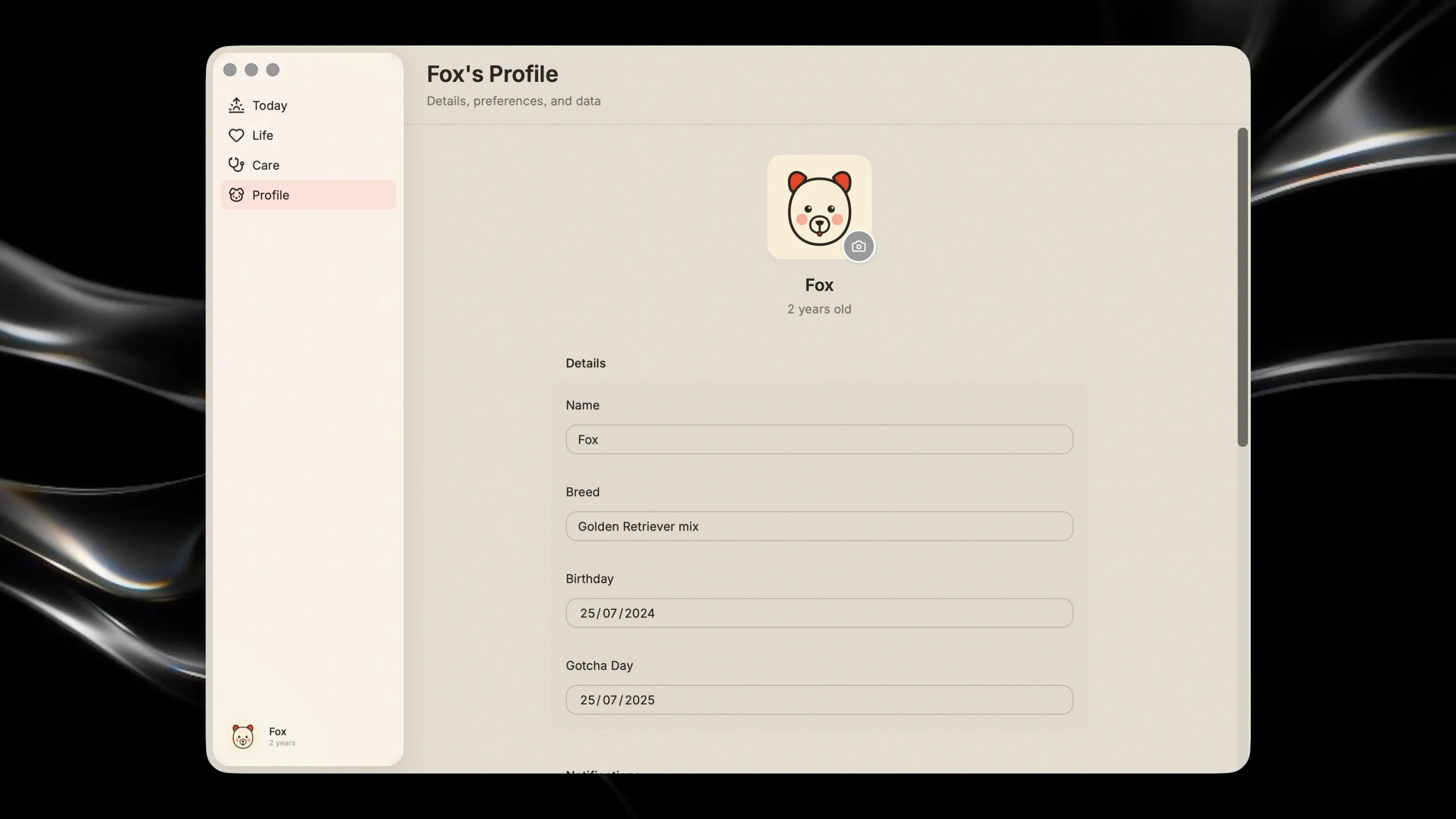 Screenshot 5